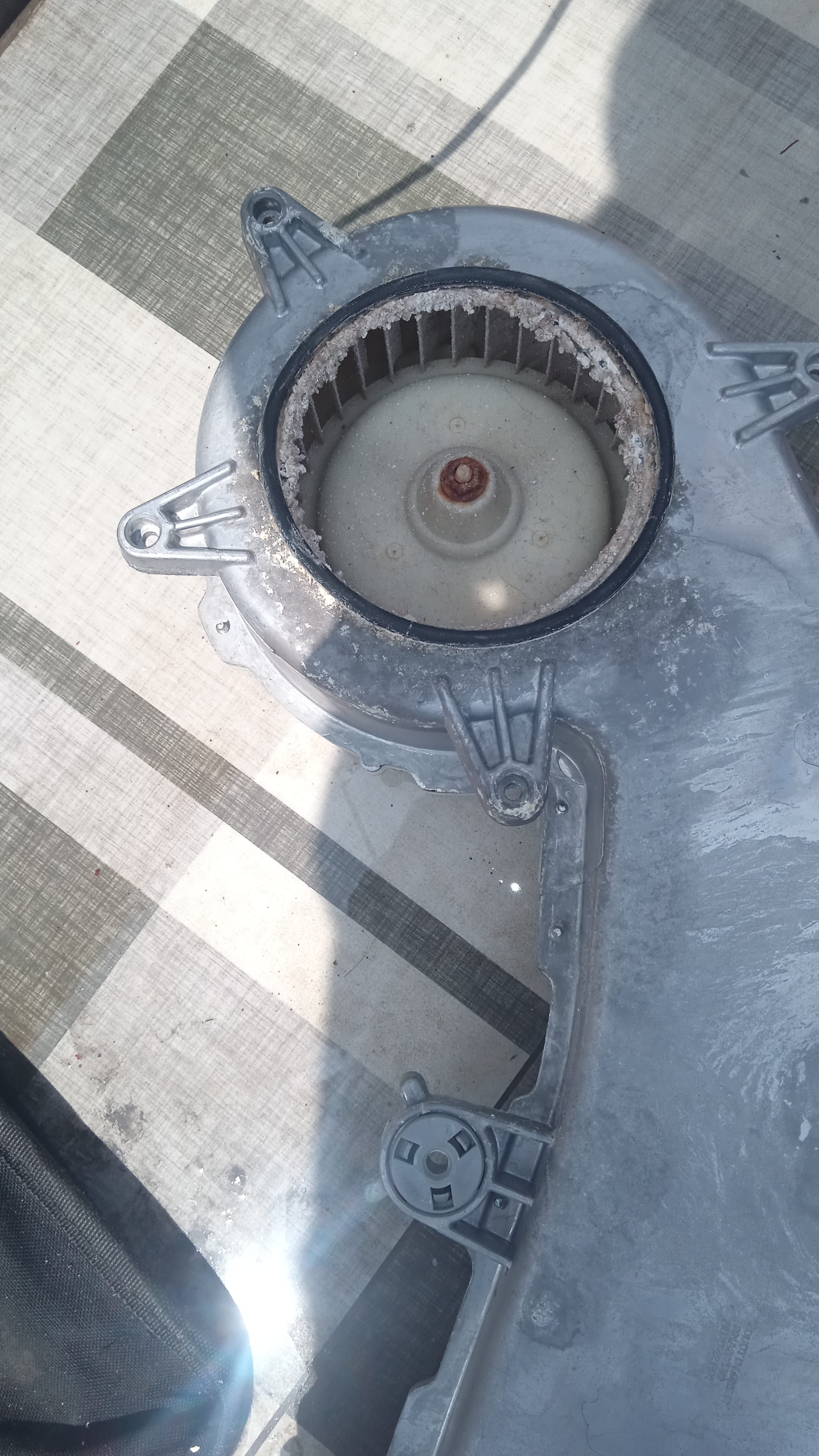 Daewoo Washing Machine Repair