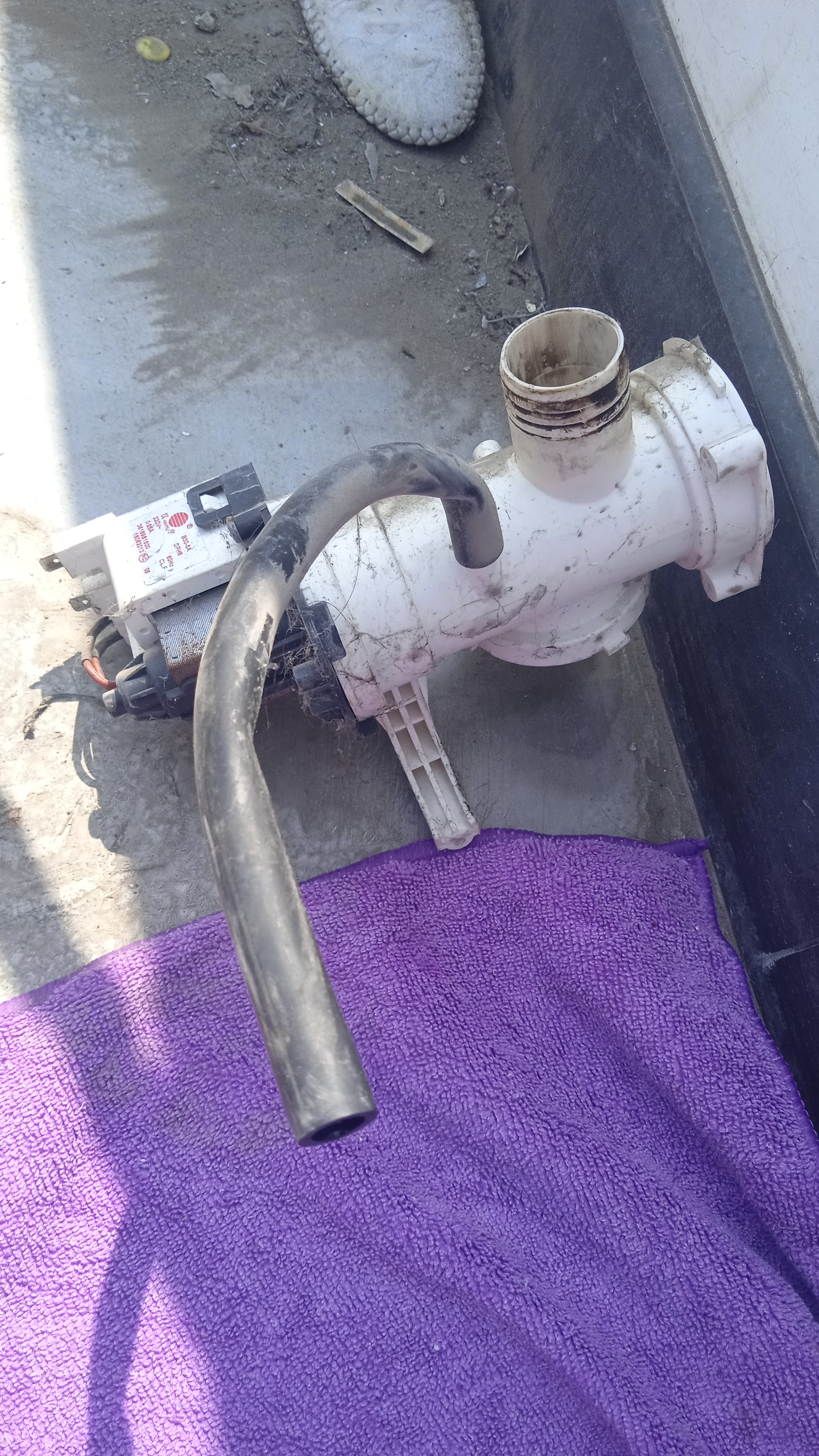 Daewoo Washing Machine Inspection