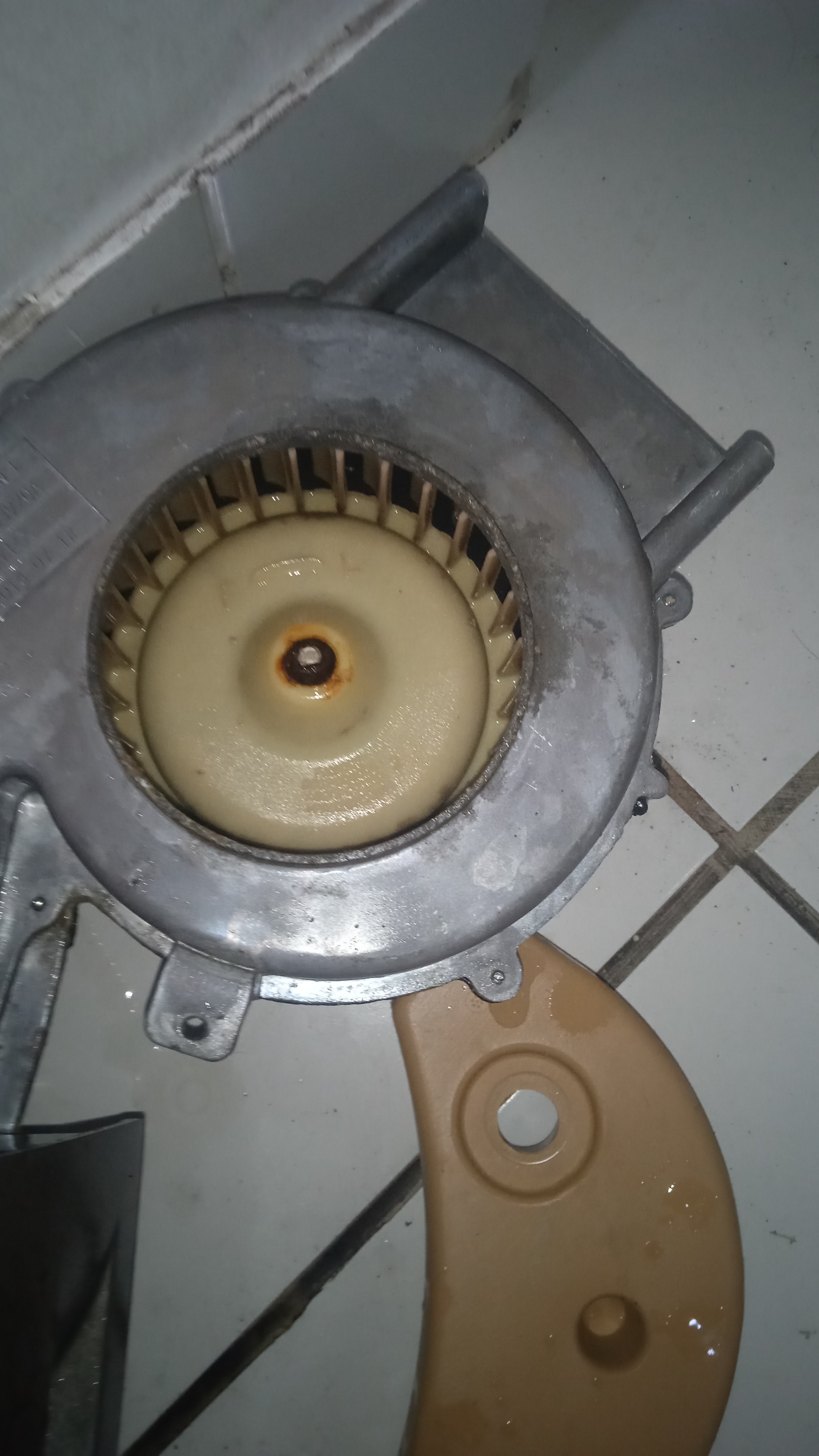 Samsung Washing Machine Cleaning