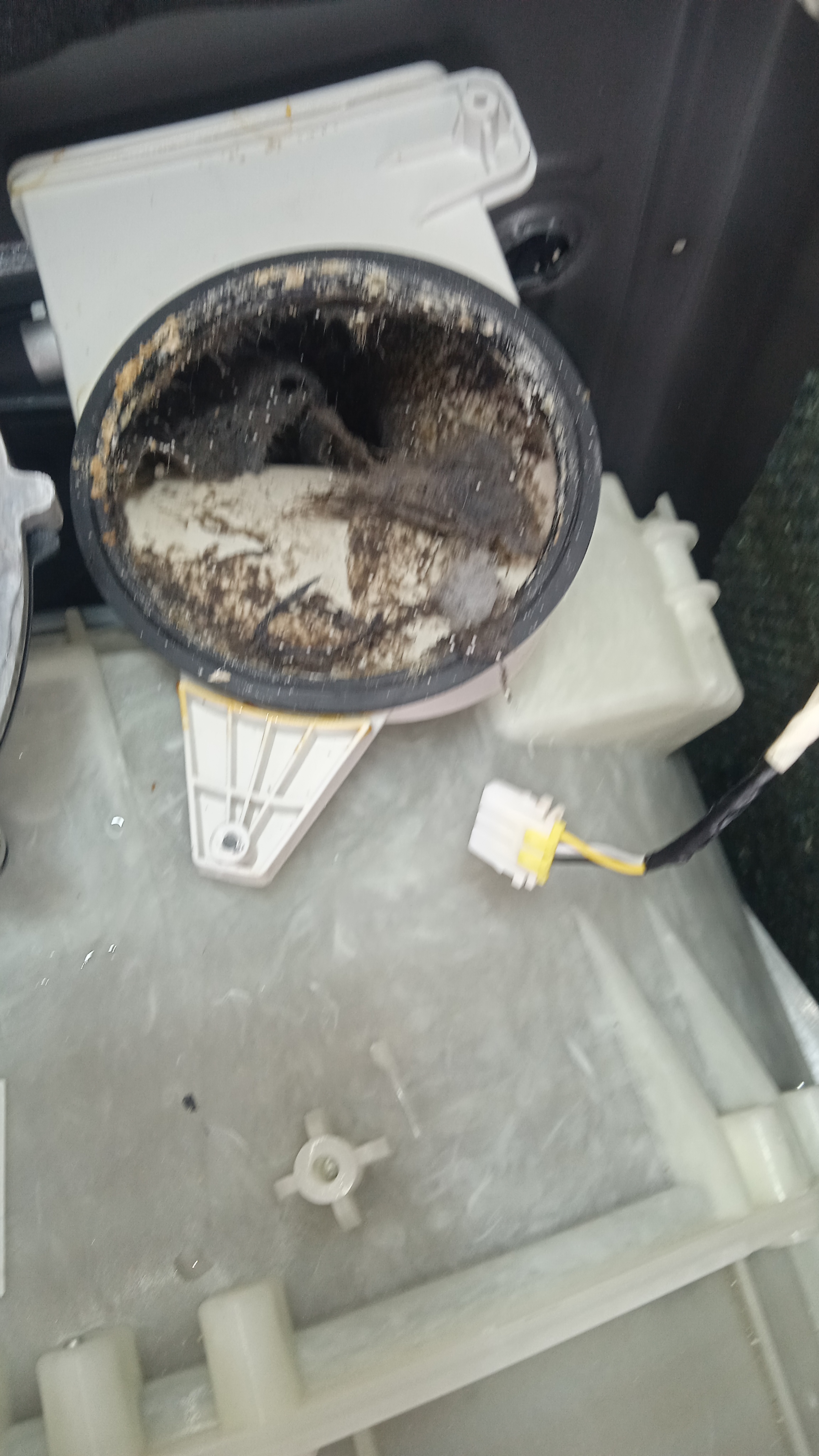 Samsung Washer Installation